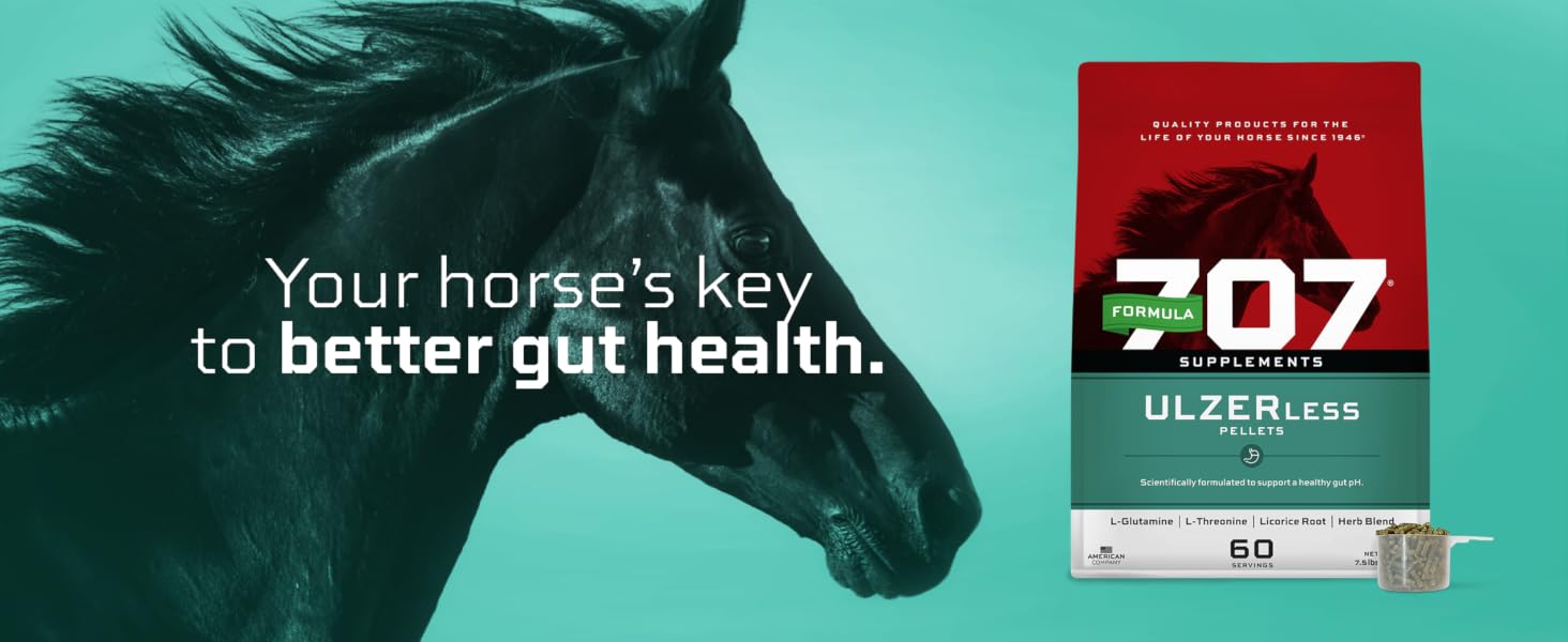 horse gut health