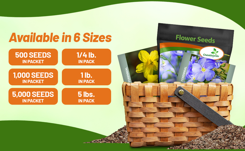 Lorem ipsum.