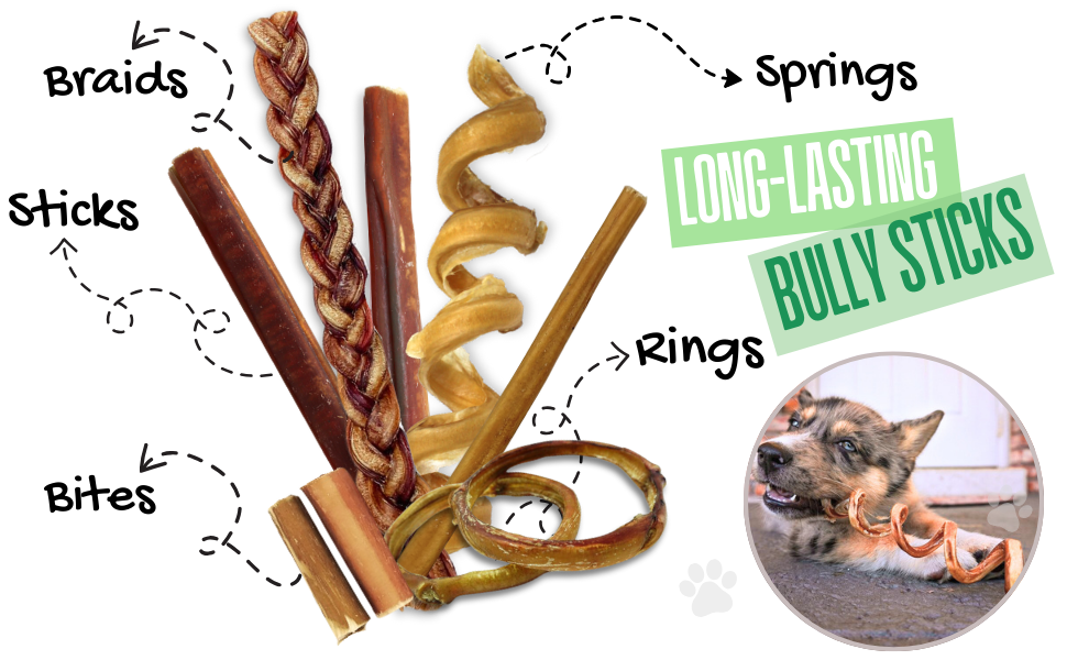 long lasting bully sticks