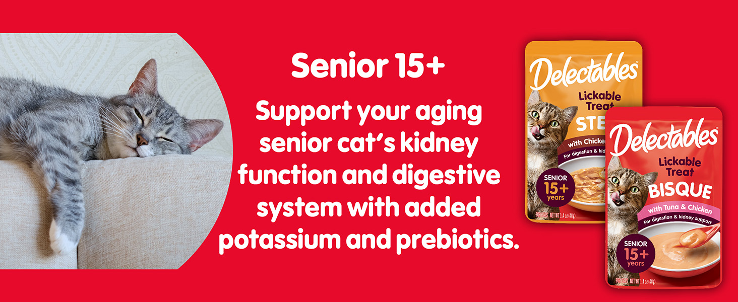 Senior 15+ Years