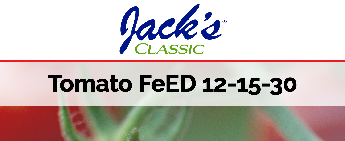 Tomato FeED Top
