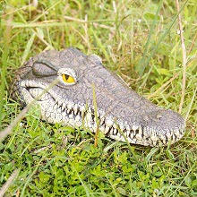alligator head decoy alligator pool float predator floating crocodile pool