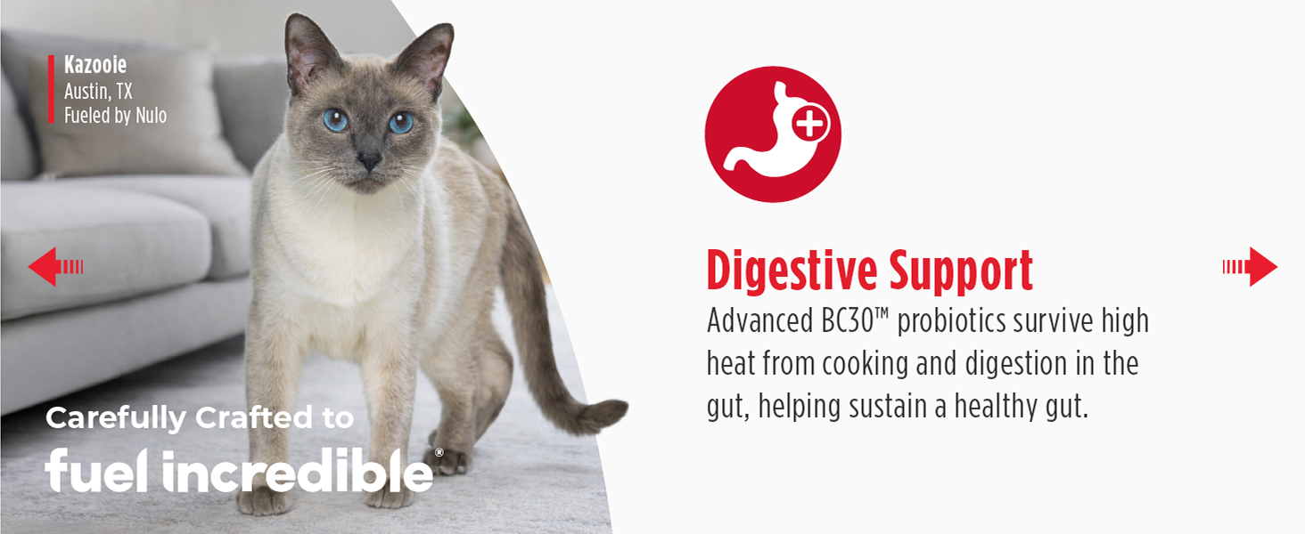 Image of cat with text reading digestive support.