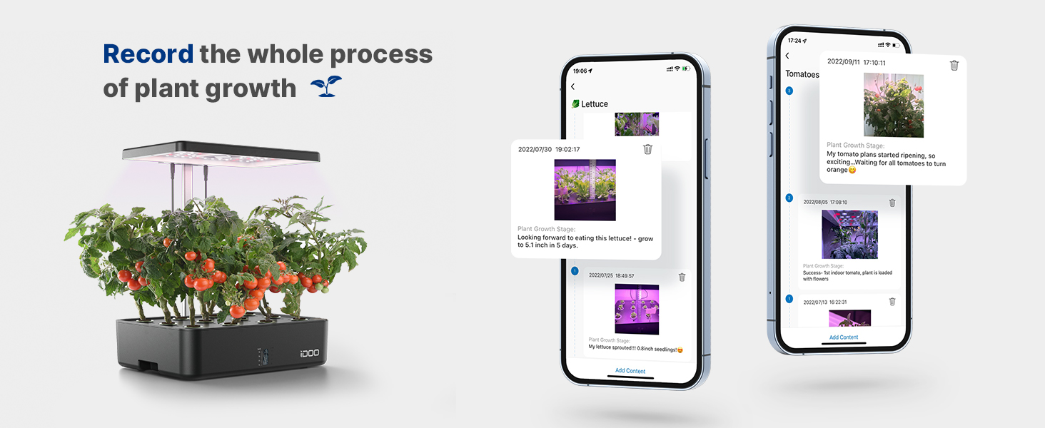 hydroponics growing system
