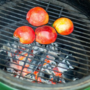Fire and Flavor lump charcoal