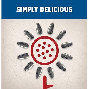 No artificial flavors in DAVIDs varieties of sunflower seeds flavors.