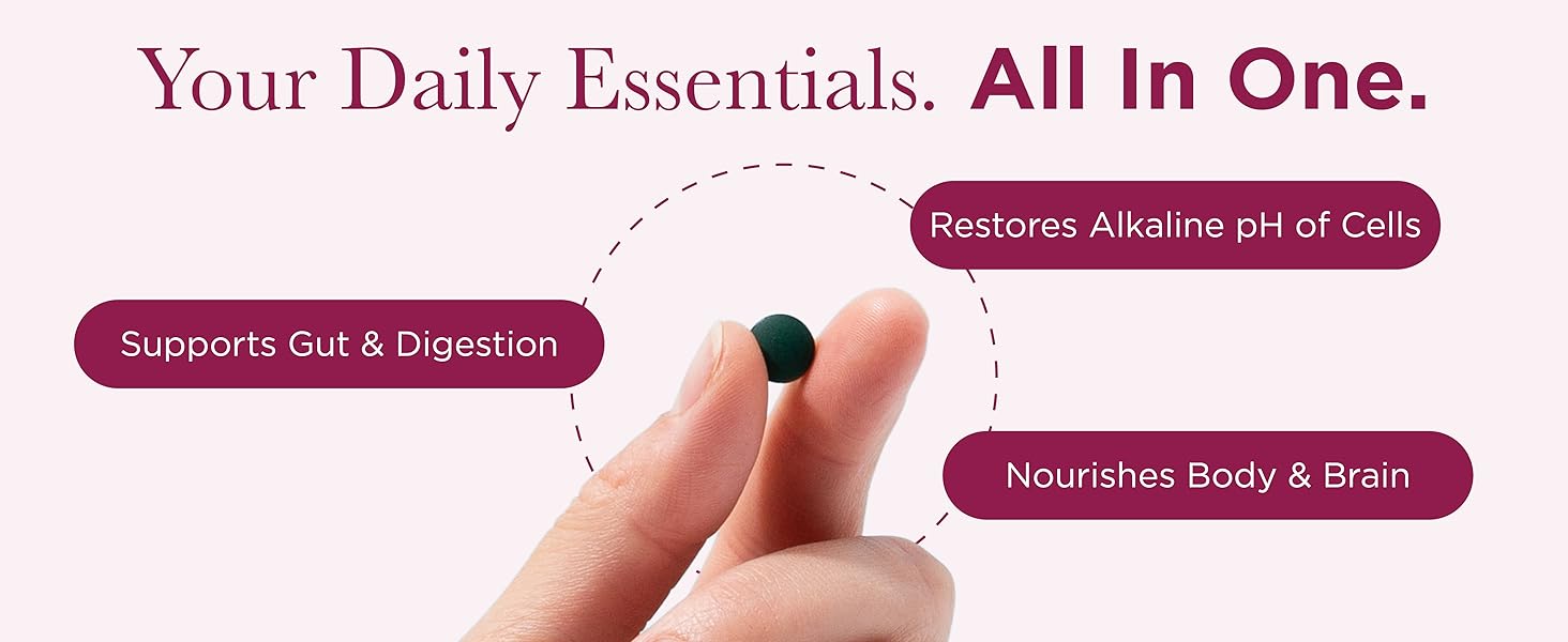 daily essentials all in one