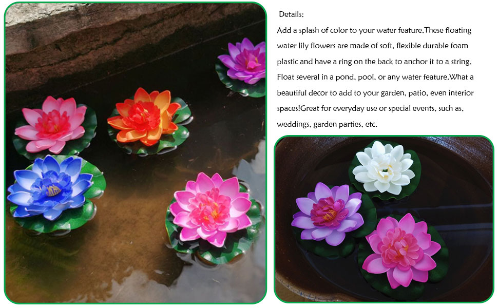 floating water lily