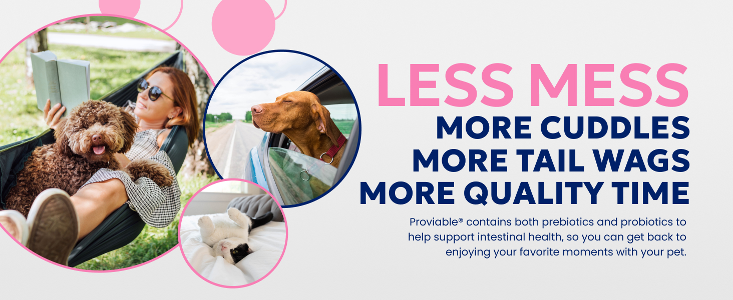 A Multistrain Probiotic for Pets