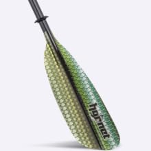 Fish Scale Design