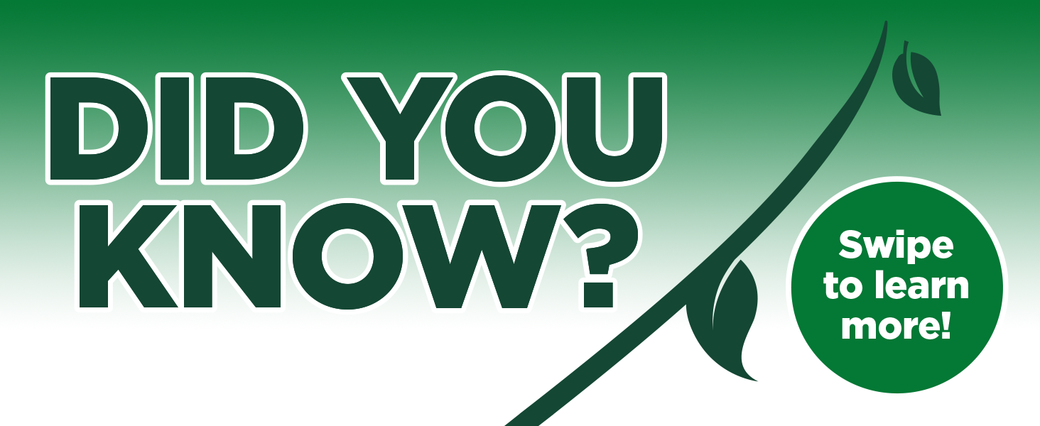 Did you know?