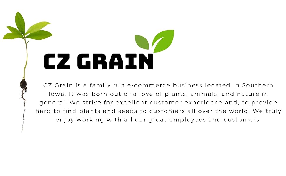 CZ Grain logo, About CZ Grain