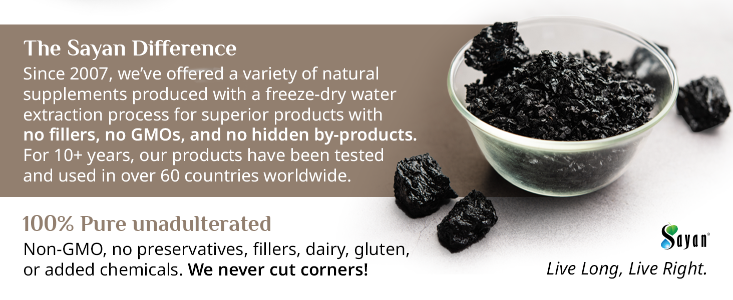 Natural Shilajit supplement tablets derived from purified mountain resin