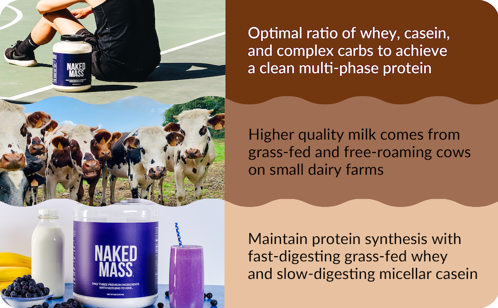 chocolate weight gainer, chocolate mass gainer, gluten free mass gainer, gluten free weight gainer