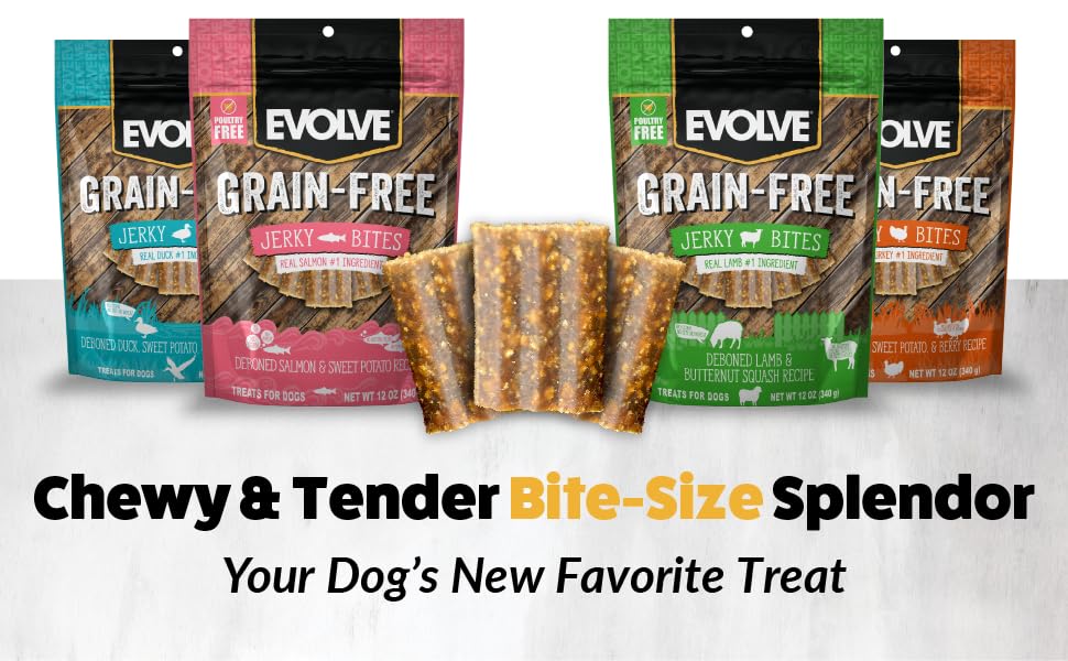 Evolve Jerky Bites