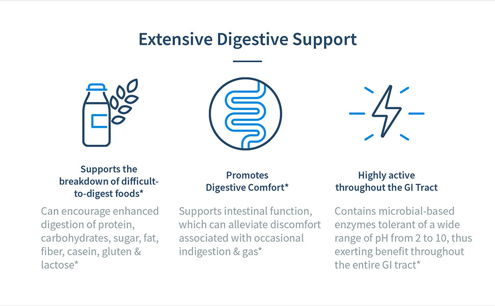 Extensive Digestive Support