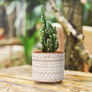 Indoor &amp; Outdoor Use
