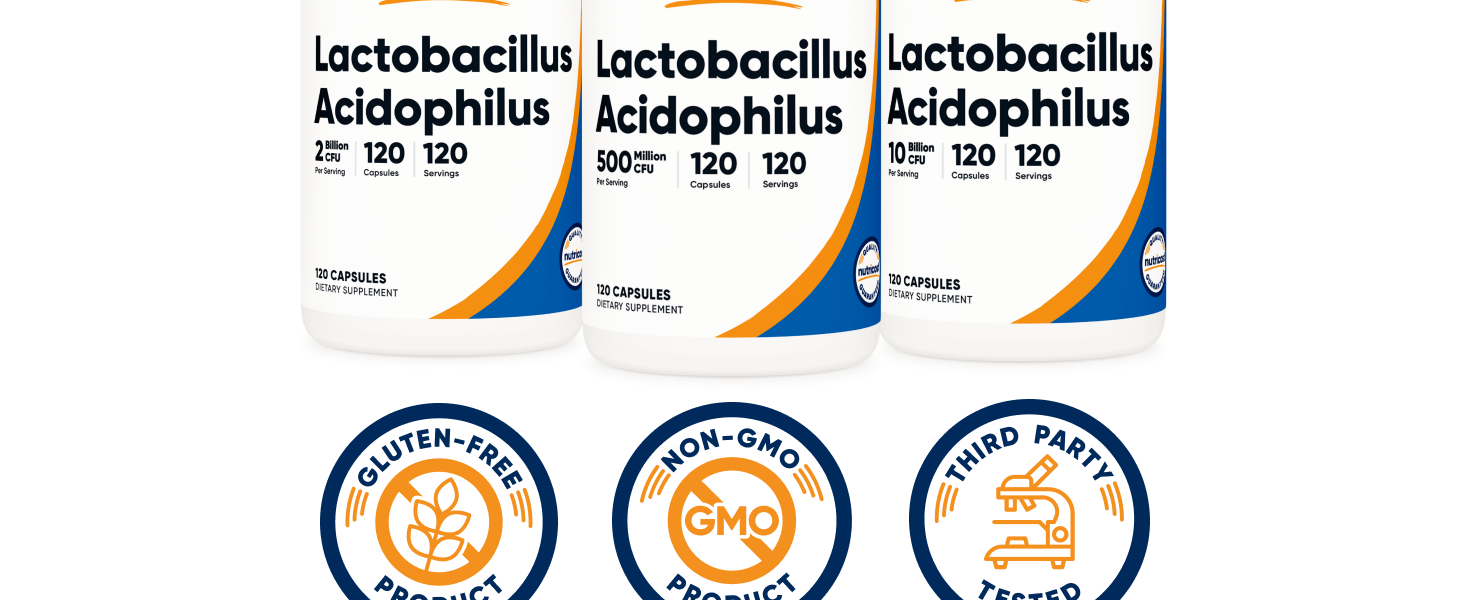 Lactobacillus Acidophilus