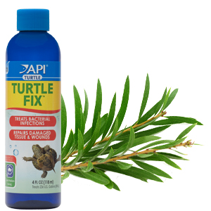API Turtle Fix Bacterial Disease Remedy