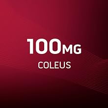 100MG COLEUS