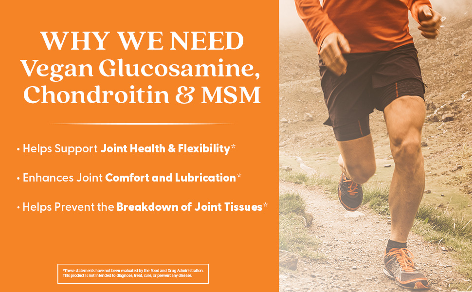 Vegan Glucosamine Chondroitin MSM with OptiMSM