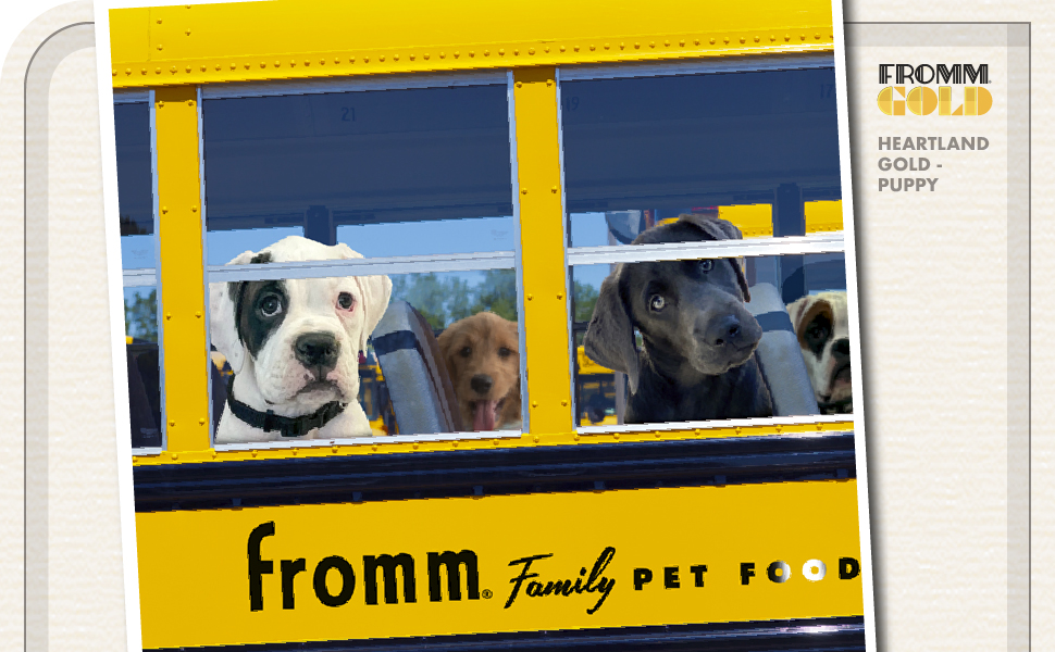 fromm family pet foods dry dog food