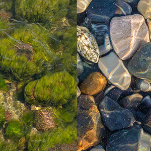 Algaecide Before and After photo