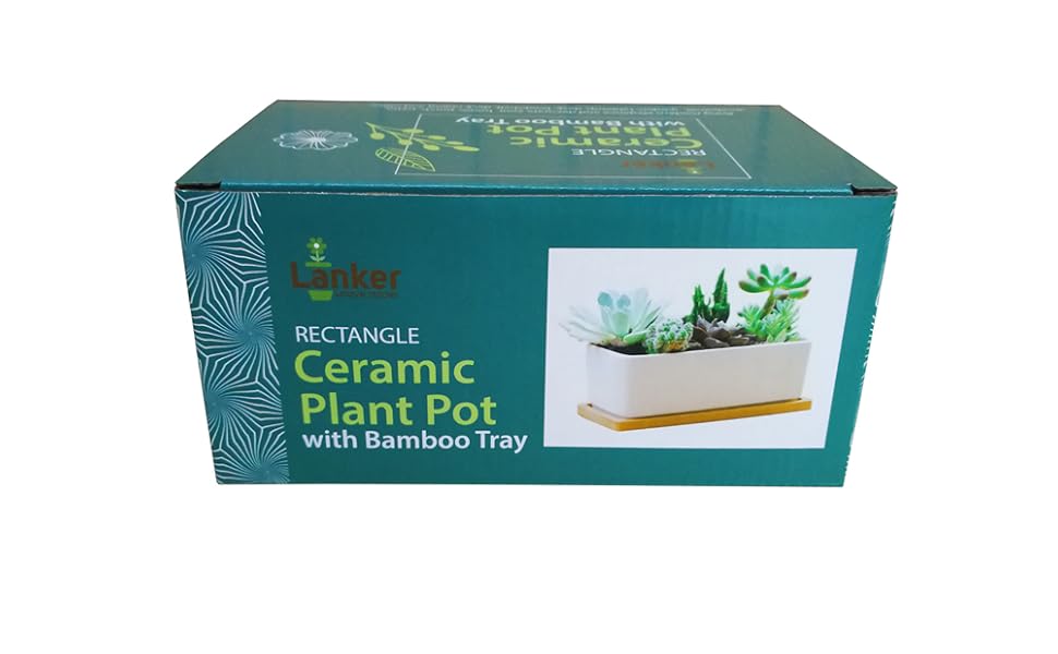 Succulent planters