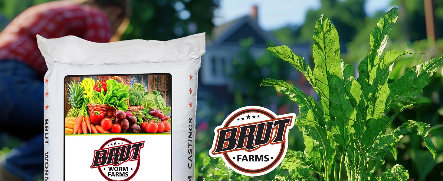 earth worm castings for plants casting gardening earthworm work humos de lombriz para plantas warm