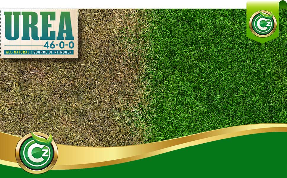 Urea Grass
