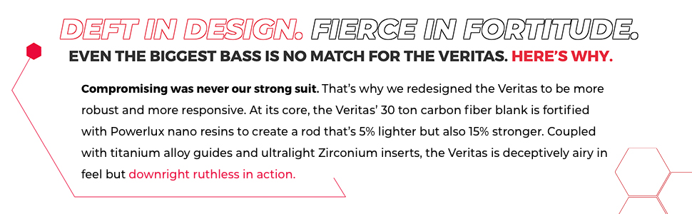 Infographic Description