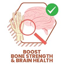 Brain