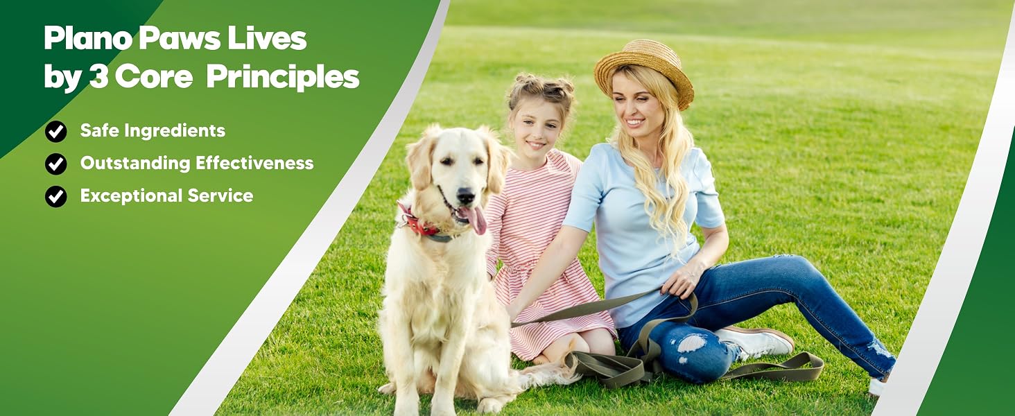 probiotic chews for dogs perfect poop for dogs dog probiotics for digestive health
