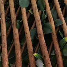 trellis