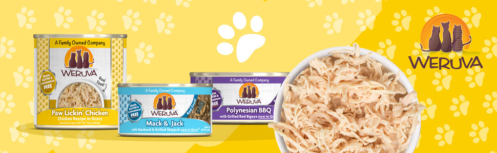 tasty luxurious high end Delicious cat brand food