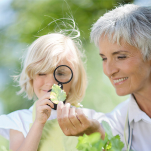Magnifying Glass