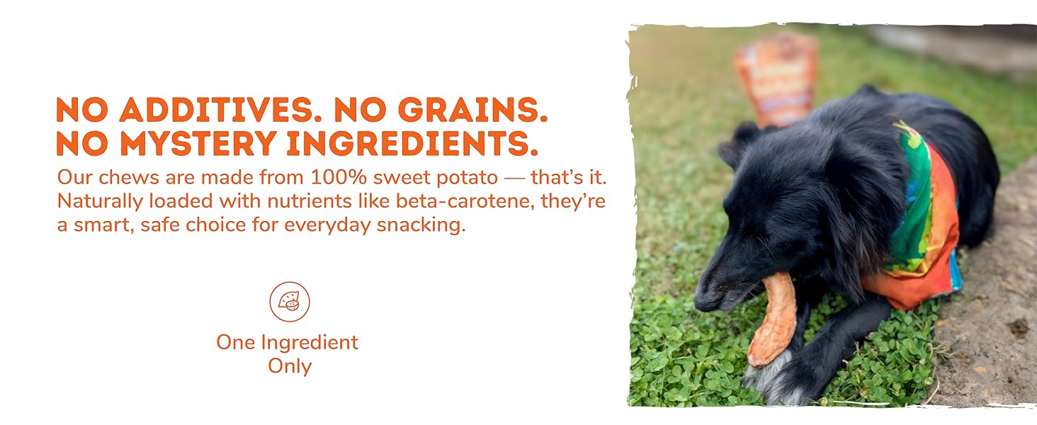 Dog chewing 100% sweet potato treat outdoors, grain-free natural snack with no additives