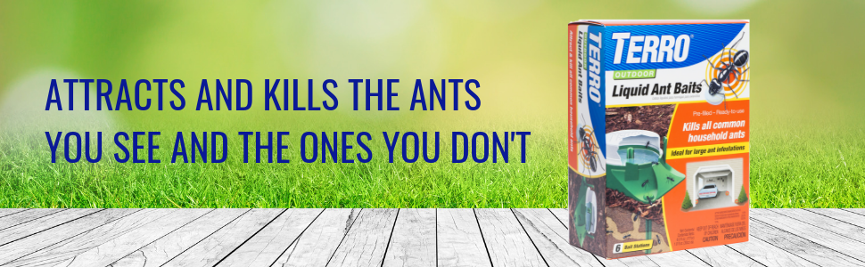 ant bait, ant killer, ant control, terro, kill bugs, insect cotrol, spiders, ants, roaches