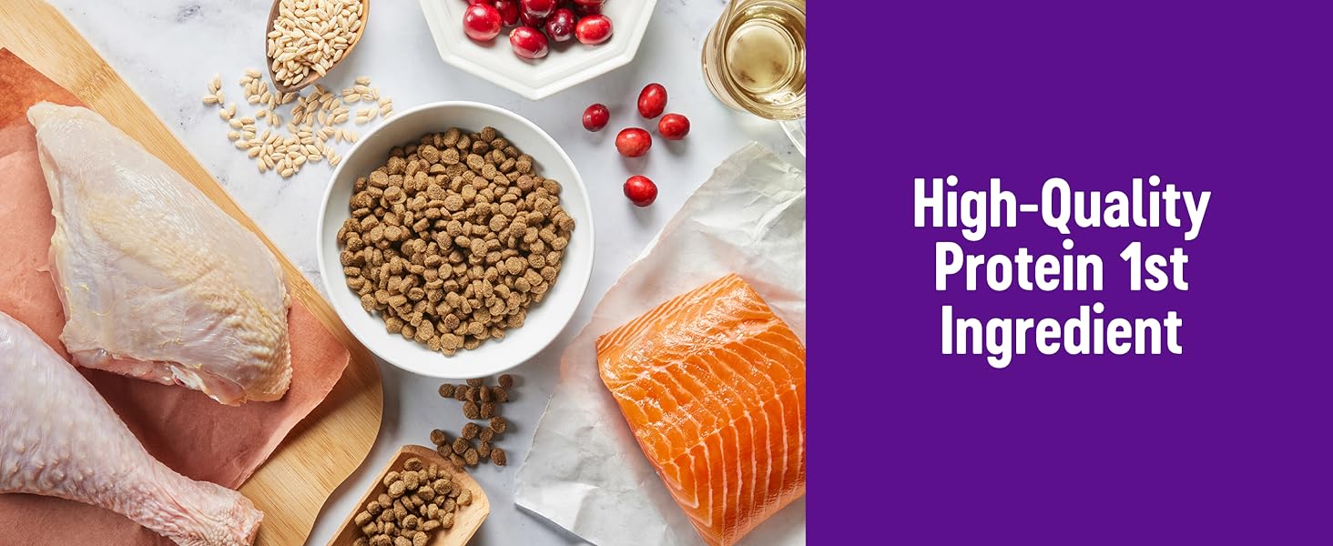 High-quality protein 1st ingredient