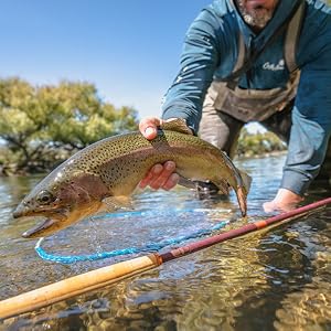 Fish with Sawtooth Rod
