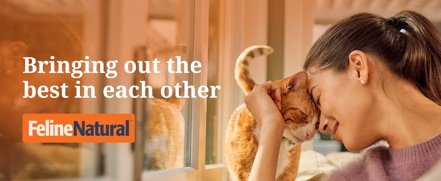 Feline Natural High Protein Dry Cat Food, Freeze-Dried, Beef