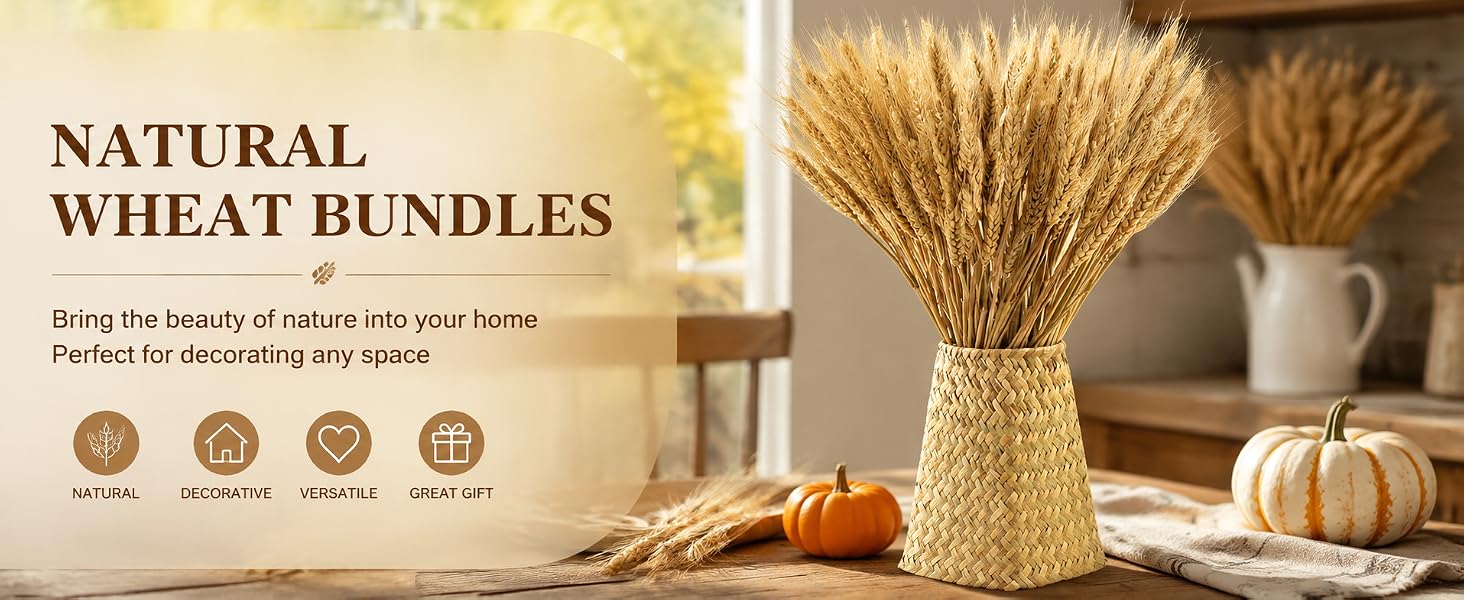 Yarlung 300 Stems Dried Wheat Stalks, 16 Inch Natural Wheat Sheaves Fall Arrangement Home Decor