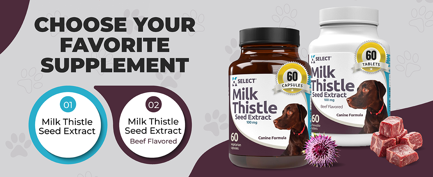 Liver Enzyme Support for Dogs