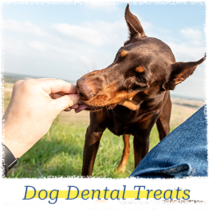 dog dental treats