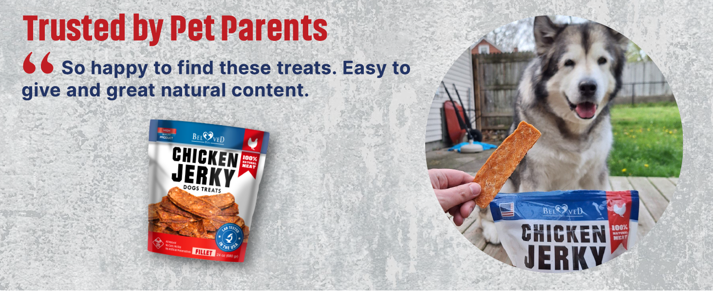 jerky chicken treats for dogs human grade chews natural snack usa protein