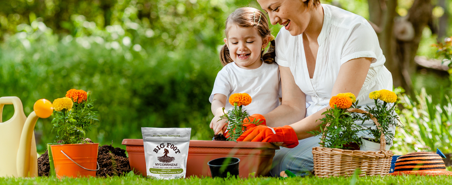 Mycorrhizal fungi improve root systems and nutrient efficiency.