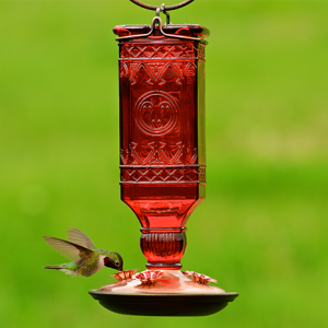 Perky-Pet Red 24 oz. Glass Antique Bottle Hummingbird Feeder