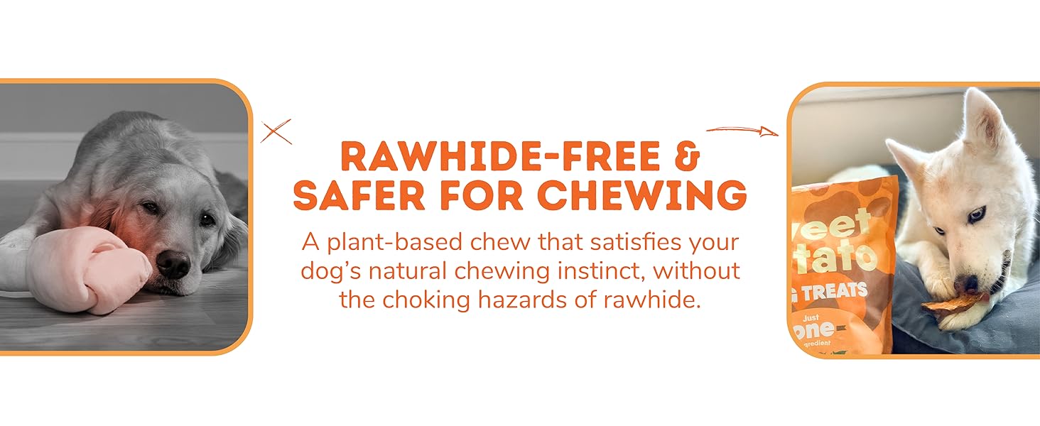 Dog chewing rawhide-free sweet potato treat, safe plant-based natural dog chew for healthy teeth