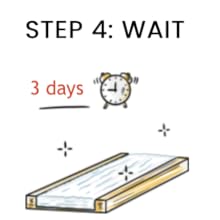 Wait