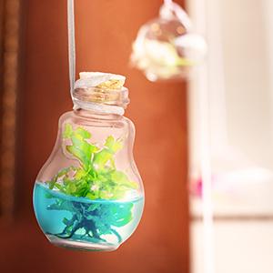 plant parent green thumb venus flytrap fly trap hanging plants